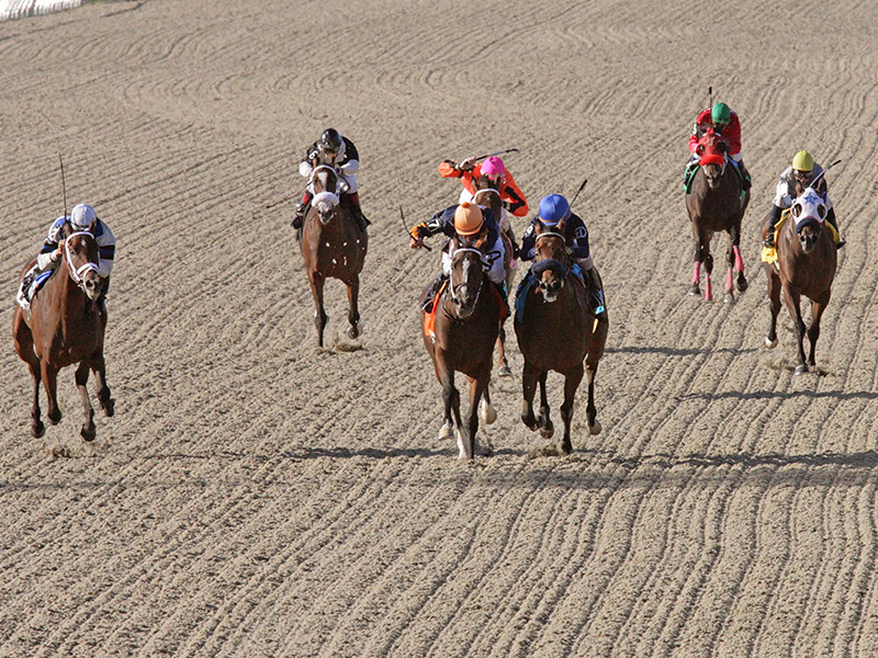 Presque Isle Downs_2